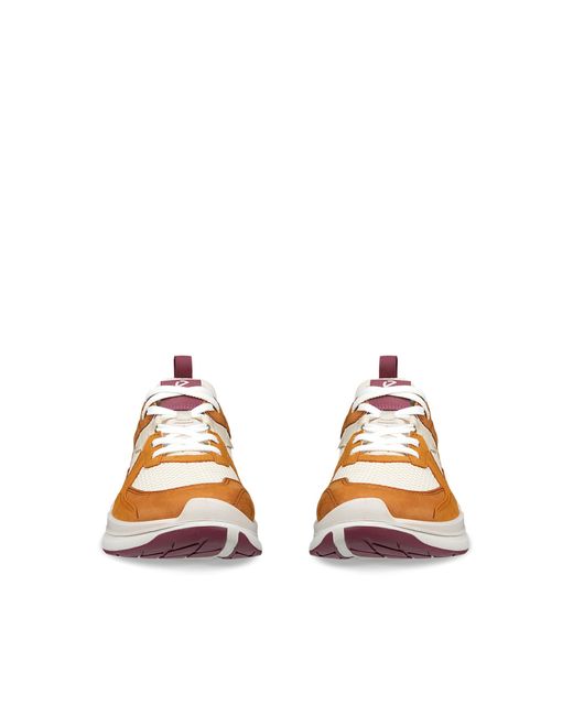 Ecco Brown Biom 2.2