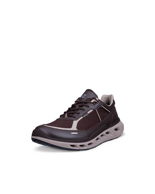 Ecco Brown Biom 720 for men