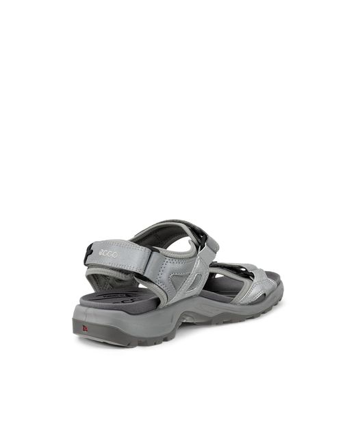 Ecco Gray Offroad for men
