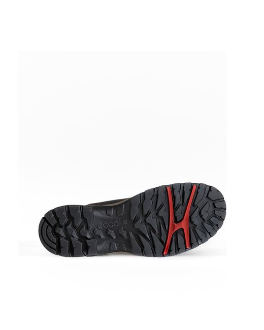 Ecco Brown Xpedition Iii for men