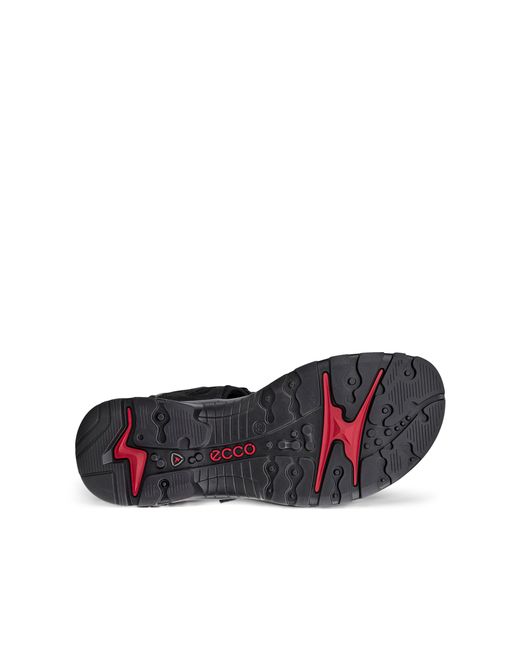 Ecco Black Yucatan Sandal Size