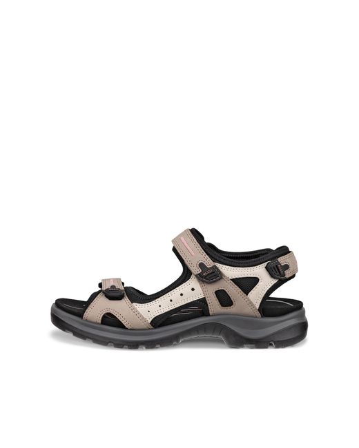 Ecco Black Offroad