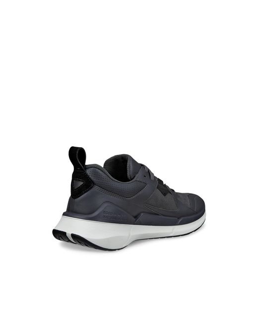 Ecco Blue Biom 2.2 for men