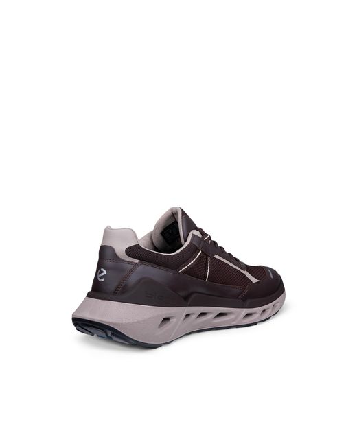 Ecco Brown Biom 720 for men