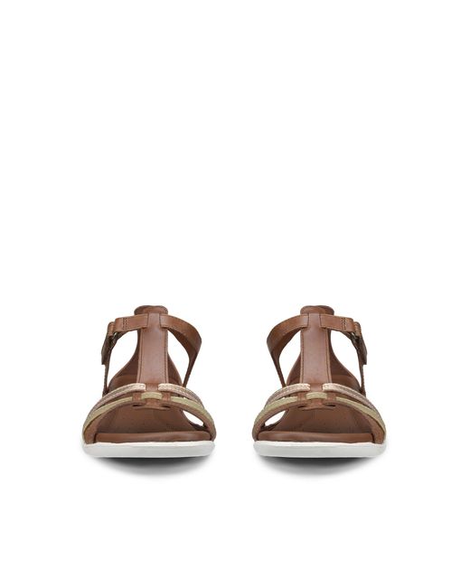 Ecco Brown Flash