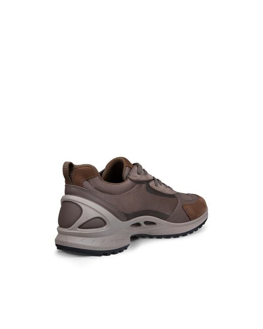 Ecco Brown Biom Energi for men