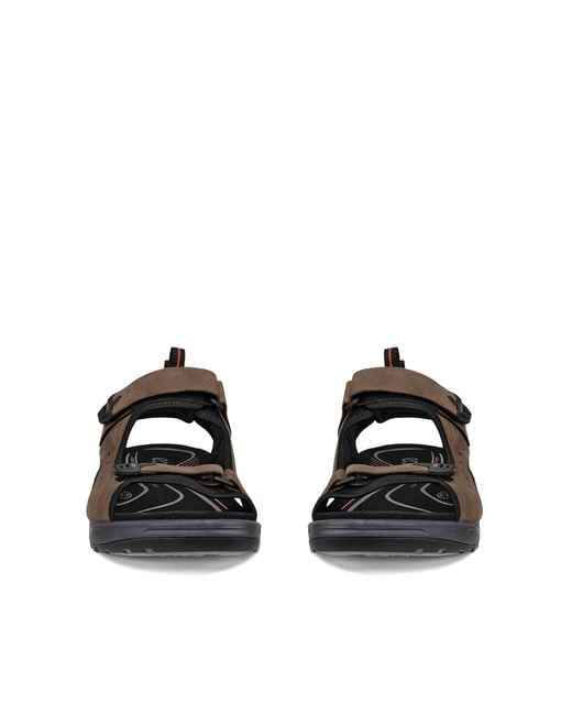 Ecco Brown Offroad for men