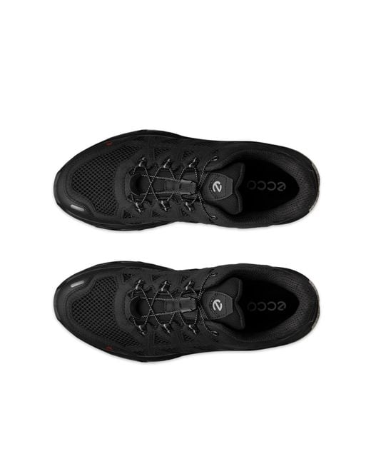 Ecco Black Receptor Xp