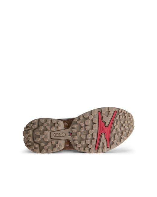 Ecco Receptor Xp in Brown für Herren