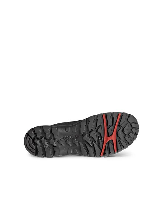 Ecco Black Xpedition Iii for men