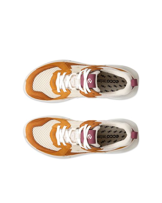 Ecco Brown Biom 2.2