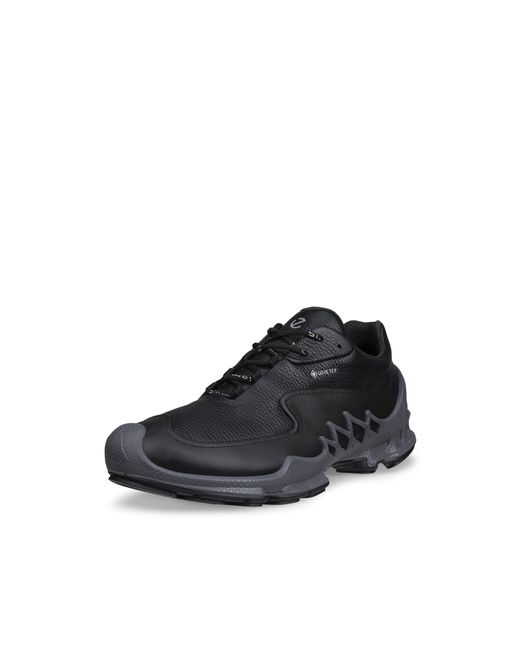 Ecco Blue Biom Aex for men
