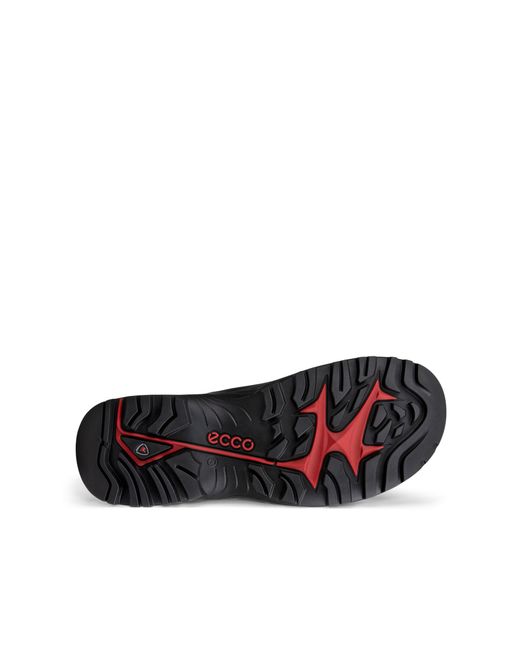 Ecco Black Offroad for men