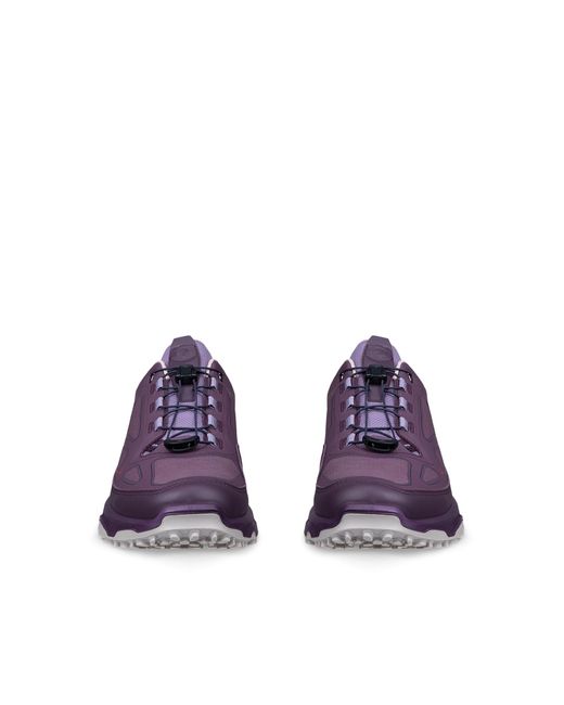 Ecco Purple Receptor Xp