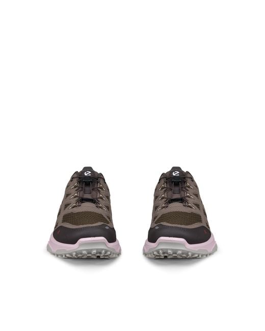 Ecco Brown Receptor Xp