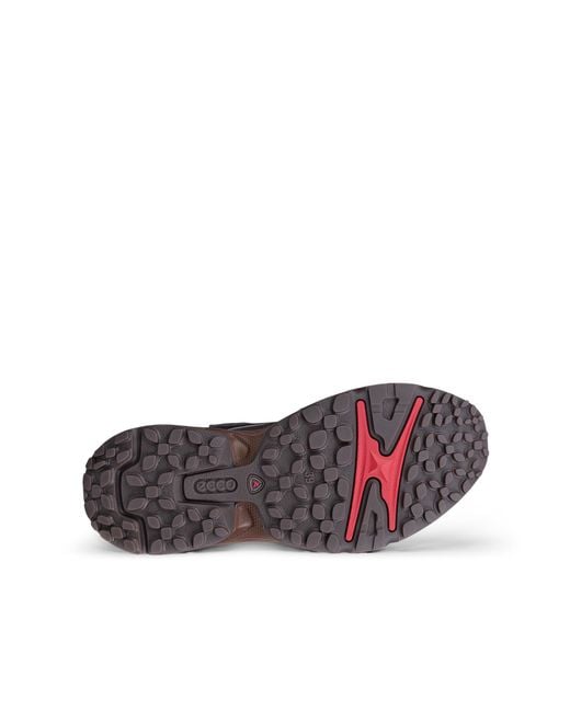 Ecco Gray Receptor Xp