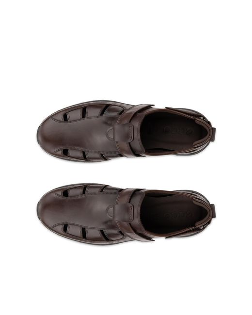Ecco Brown Irving for men