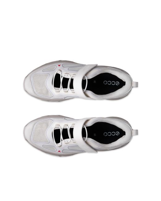 Ecco White Receptor Xp
