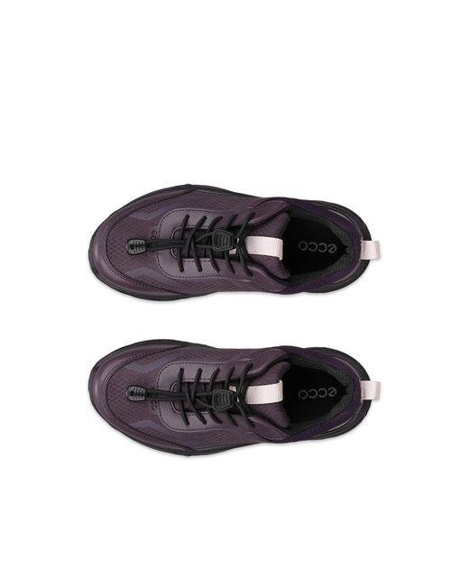 Ecco Purple Receptor Xp
