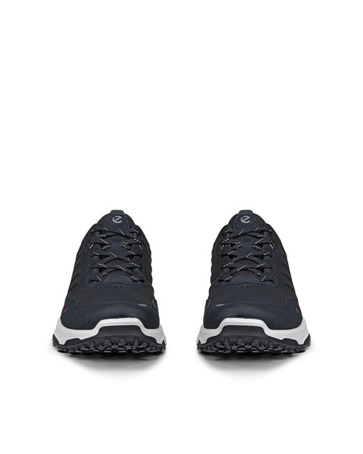 Ecco Blue Receptor Xp