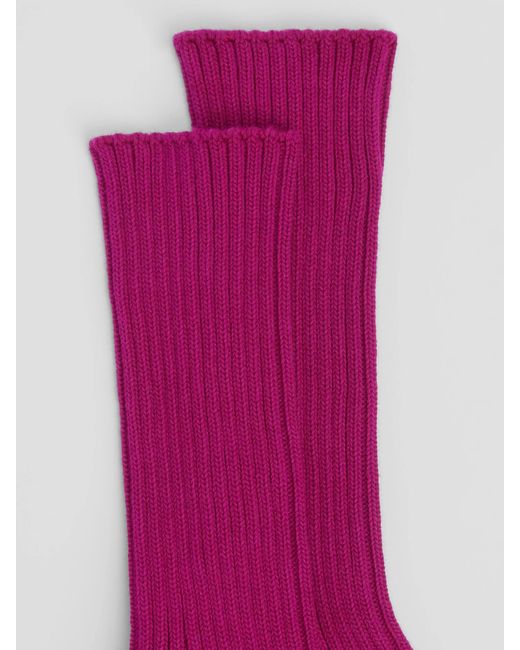 Eileen Fisher Pink Cotton Ribbed Trouser Sock