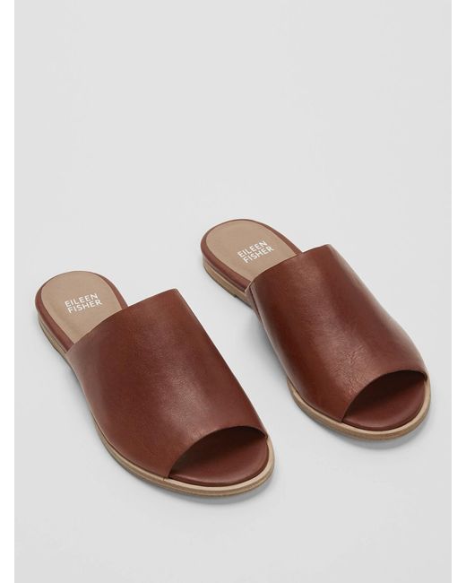 Eileen Fisher Brown Class Leather Slide Sandal