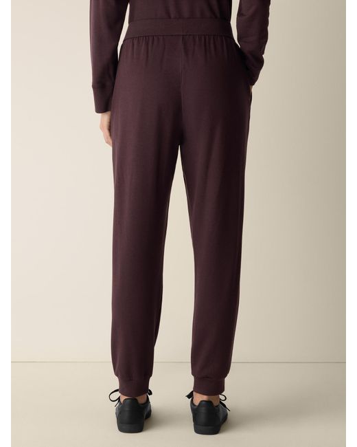 Eileen Fisher Purple Cozy Brushed Terry Hug Jogger Pant