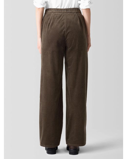 Eileen Fisher Brown Organic Cotton Corduroy Wide-leg Pant