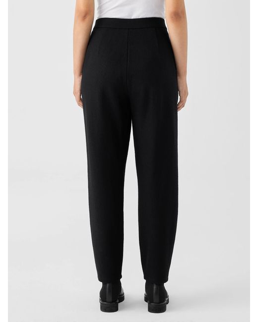 Eileen Fisher Black Boiled Wool Jersey Carrot Pant
