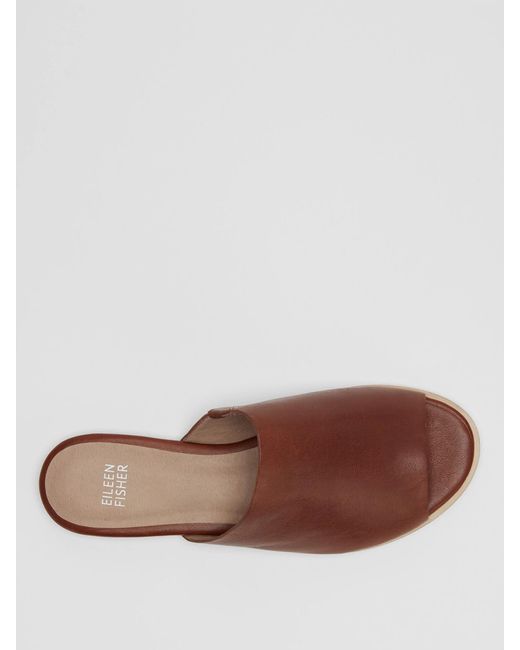 Eileen Fisher Brown Class Leather Slide Sandal