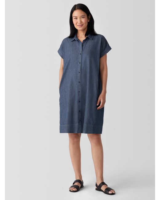 Eileen Fisher Blue Airy Organic Cotton Twill Shirtdress