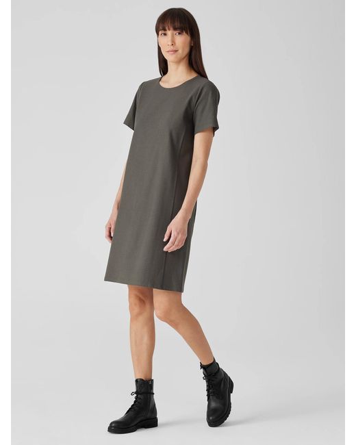 Eileen Fisher Gray Washable Stretch Crepe Jewel Neck Dress
