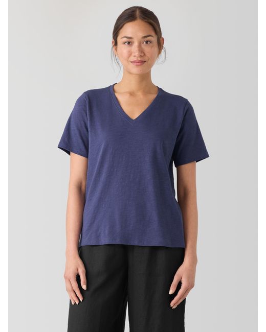 eileen fisher v neck tee