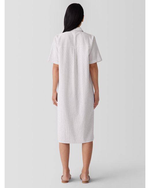 Eileen Fisher White Organic Cotton Ripple Shirtdress