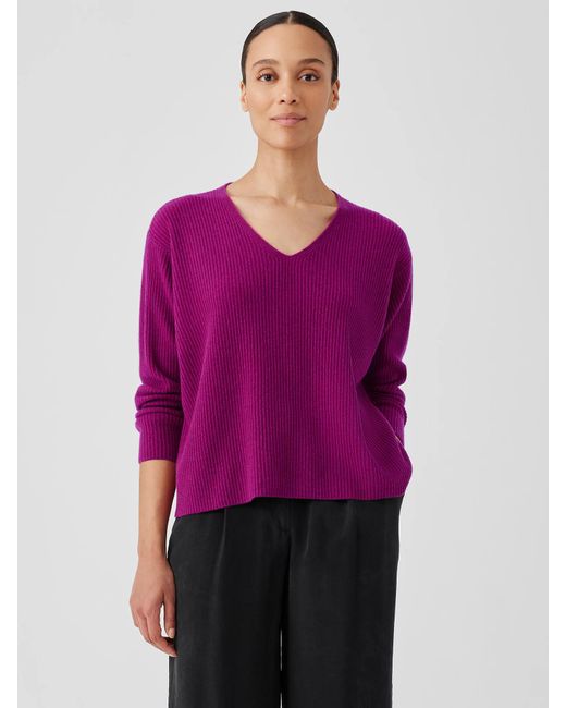Eileen Fisher Purple Italian Cashmere V-neck Top