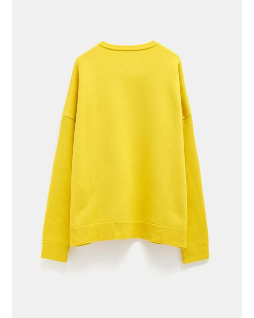 service trompet Erobrer Loewe Oversize Crew Neck Sweater In Cashmere in Yellow | Lyst