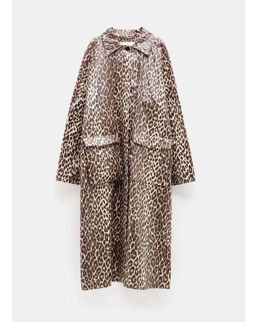 Jil Sander Cotton Leopard Print Raincoat in Brown Lyst UK