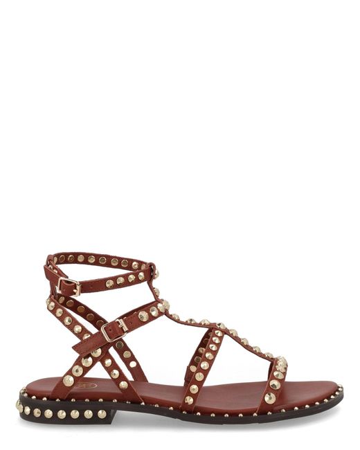 Ash Brown Sandalo "Gladiator"