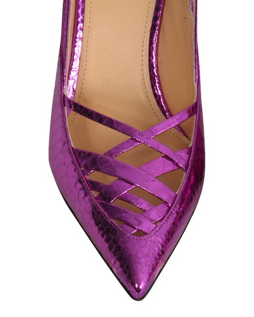Pump di Giannico in Purple