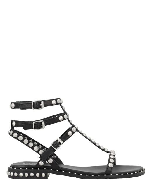 Ash Black Stylish Flats For
