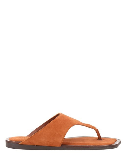 Ash Brown Sandalo Infradito Genius