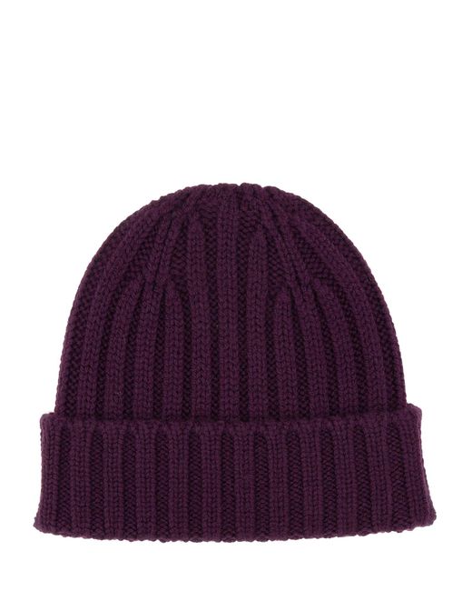 Cappello Beanie di Aspesi in Purple