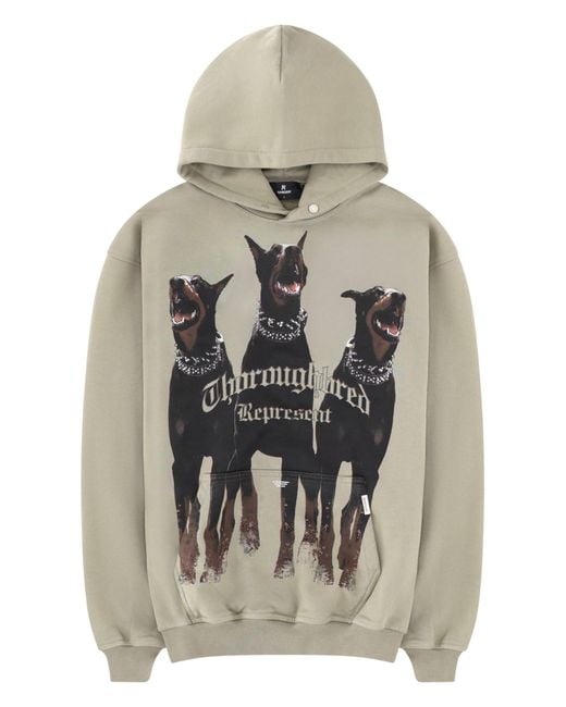 Represent Gray Thoroughbred Hoodie for men