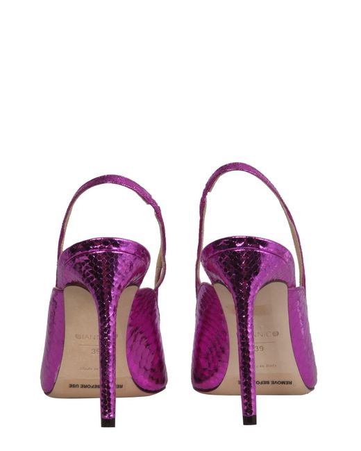 Pump di Giannico in Purple