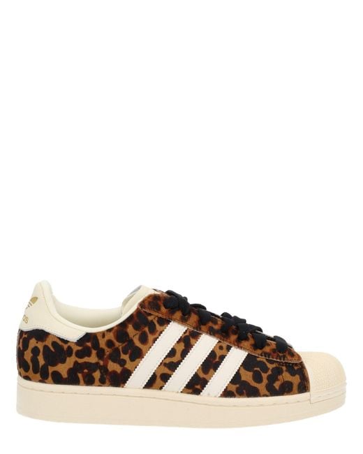 Adidas Originals Brown "Superstar Ii" Sneaker