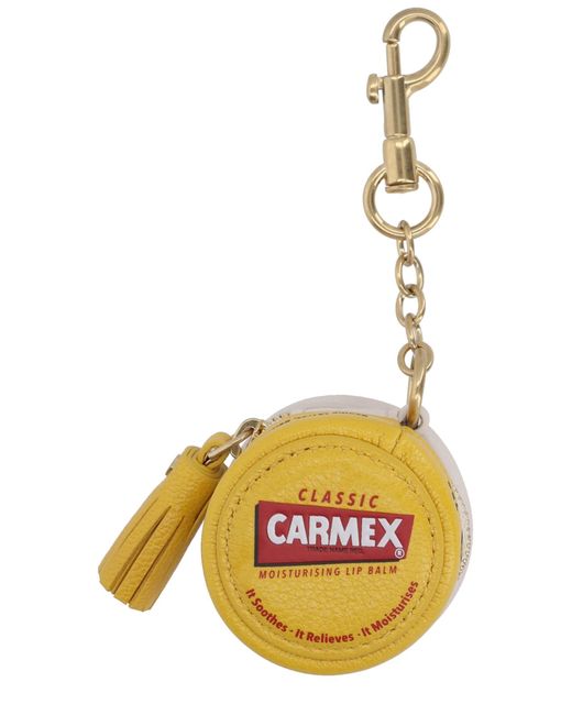 Anya Hindmarch Metallic Coin Purse "Carmex"
