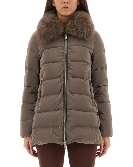 Moorer Brown Padded Jacket "Dorado"