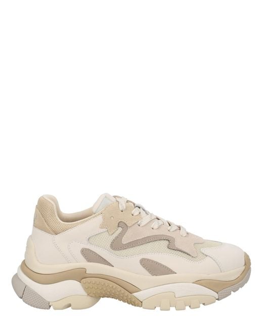 Ash Natural Sneaker Addict