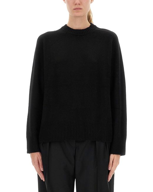 Loulou de Saison Black Jersey "Baltra"