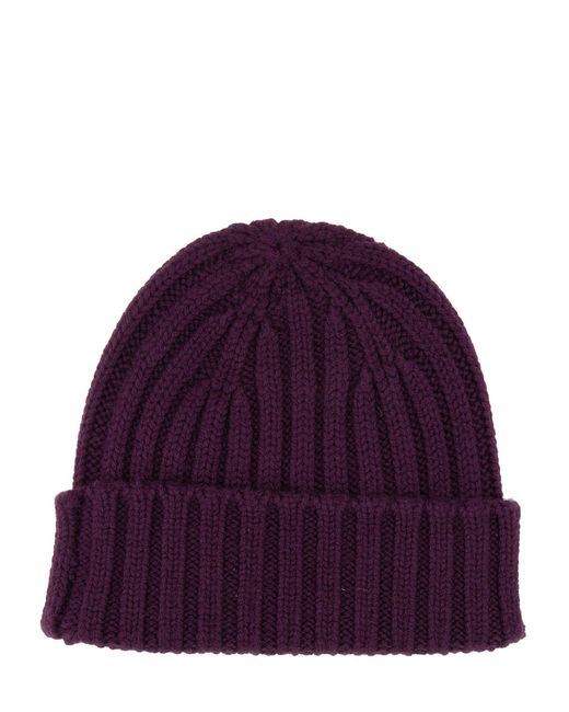 Cappello Beanie di Aspesi in Purple